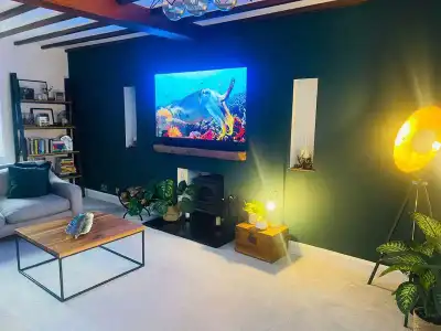 TV Wall Mounting reviewed by James