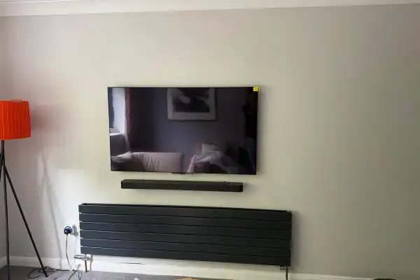 65" Panasonic with Sonos Arc — Kelvedon — image 4